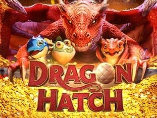 Dragon Hatch game screenshot