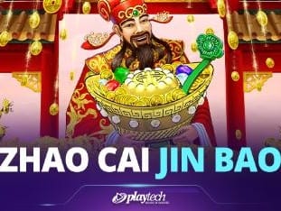 Zhao Cai Tong Zi game screenshot
